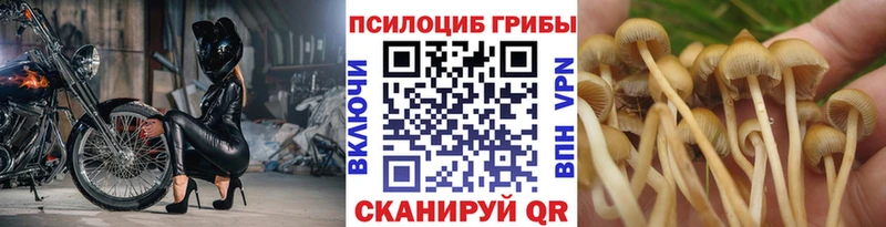 Галлюциногенные грибы MAGIC MUSHROOMS  как найти наркотики  Кириллов 